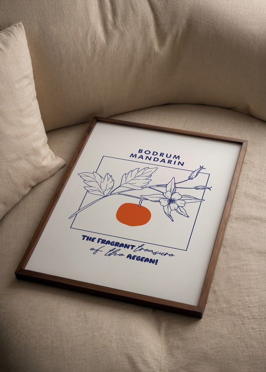 Bodrum mandalinasından ilham alan minimalist çizimli poster, beyaz zemin üzerinde turuncu meyve ve lacivert çiçek illüstrasyonu.