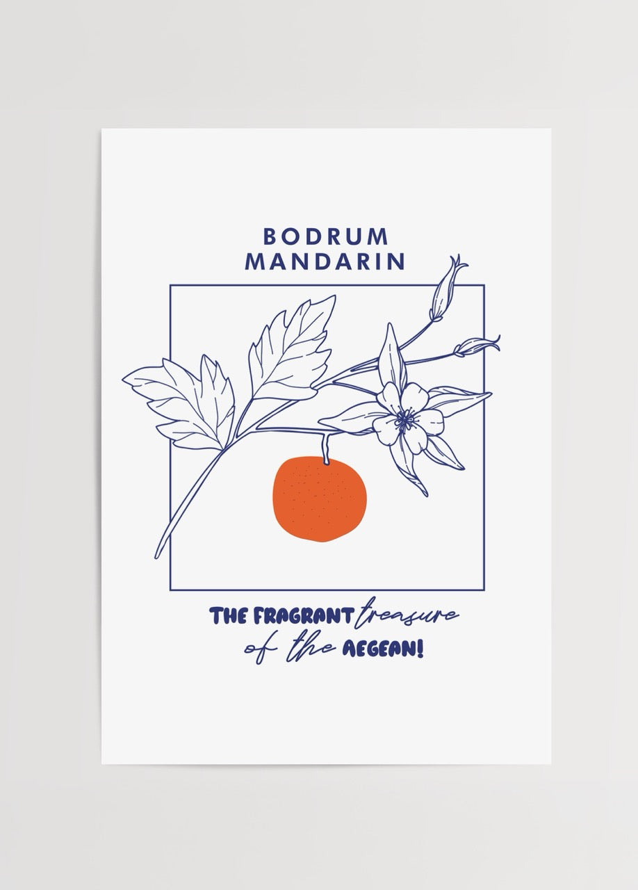 Bodrum mandalinasından ilham alan minimalist çizimli poster, beyaz zemin üzerinde turuncu meyve ve lacivert çiçek illüstrasyonu.
