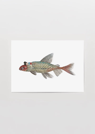 Fish & Little Poster Baskı