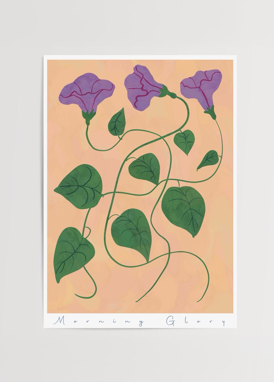 nazli tarcan morning glory mor cicek botanik poster