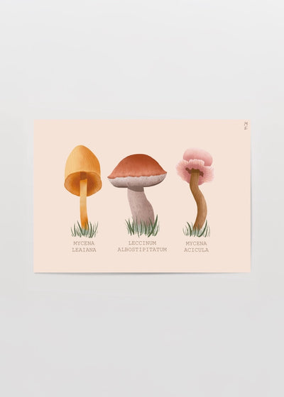 Mushrooms Poster Baskı