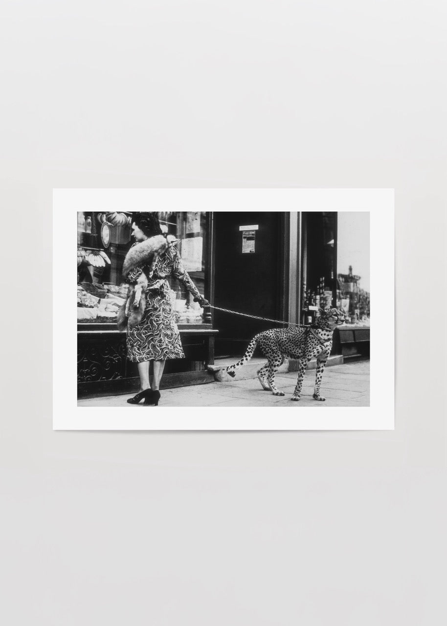 New York sokaklarında egzotik hayvanla yürüyen kadının yer aldığı vintage siyah beyaz moda fotoğrafı