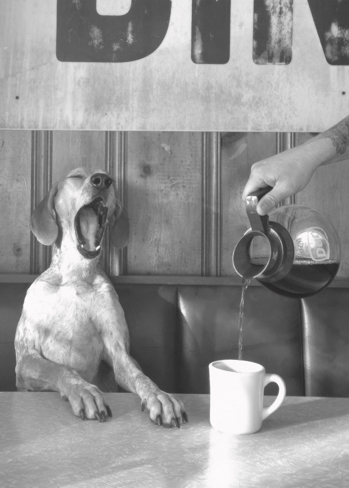 Coffee for Dogs Fotoğraf Poster Baskı