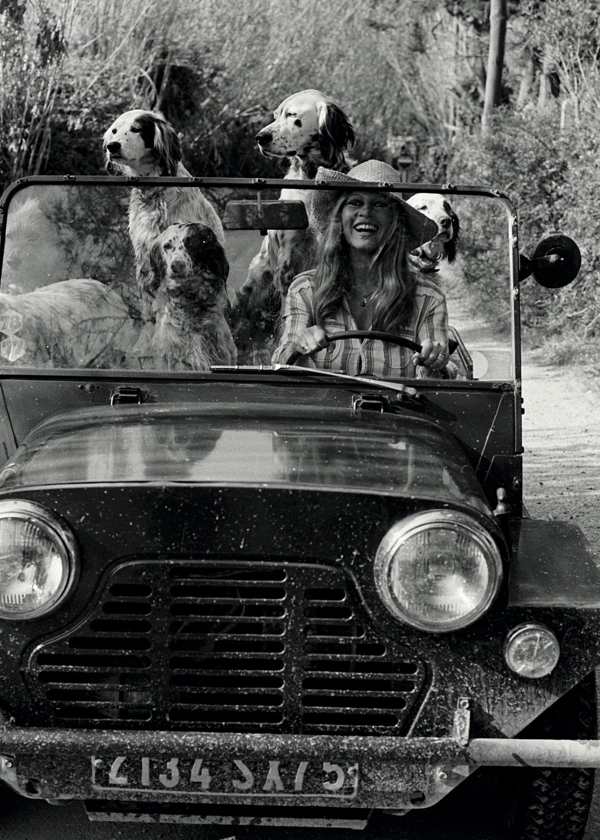 Brigitte Bardot Köpeklerle Fotoğraf Poster Baskı