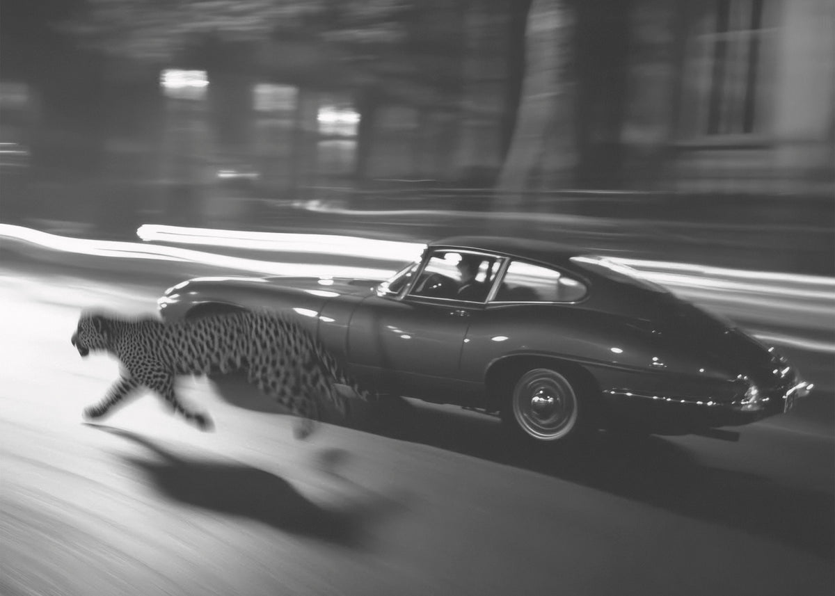 Leopard Vintage Car Fotoğrafı Poster Baskı