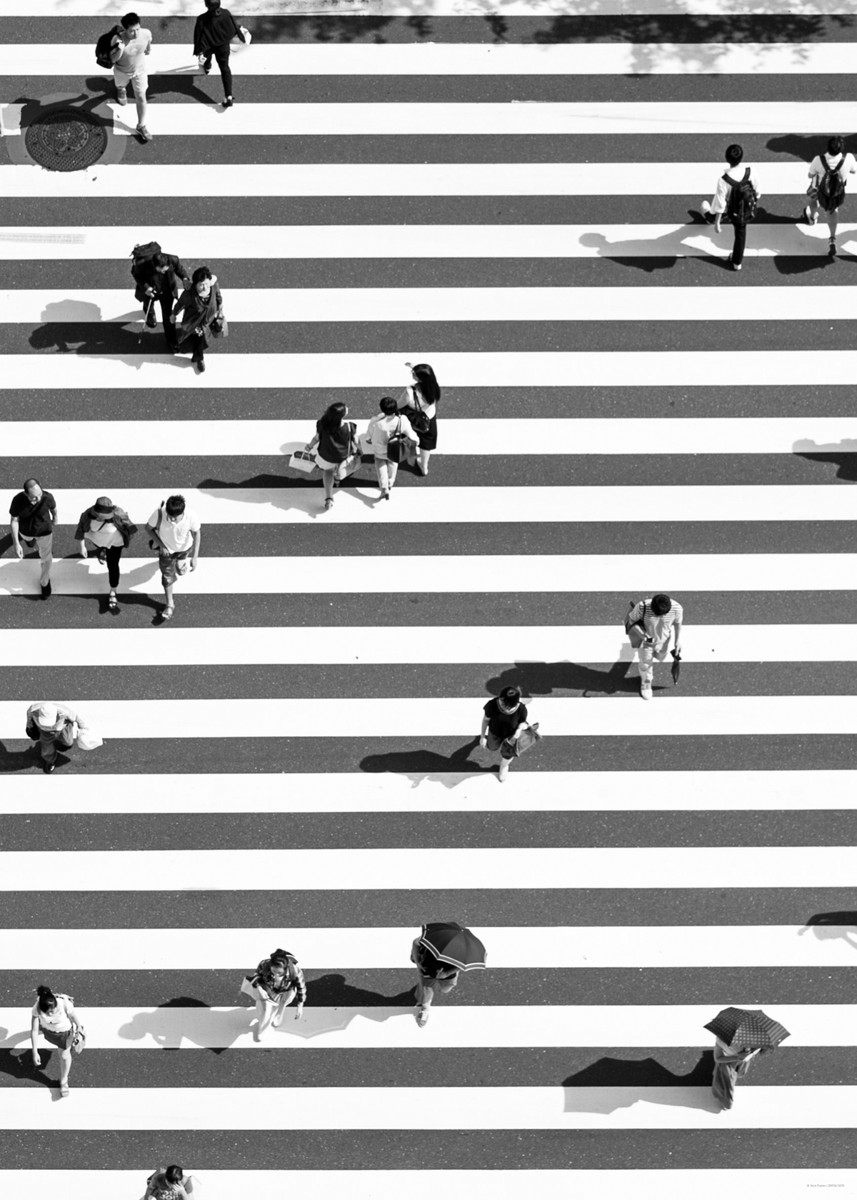 Yaya Geçidi Siyah Beyaz Modern Fotoğraf Poster Baskı