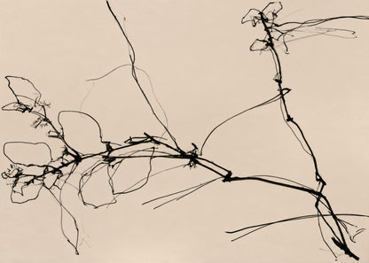 Unfold