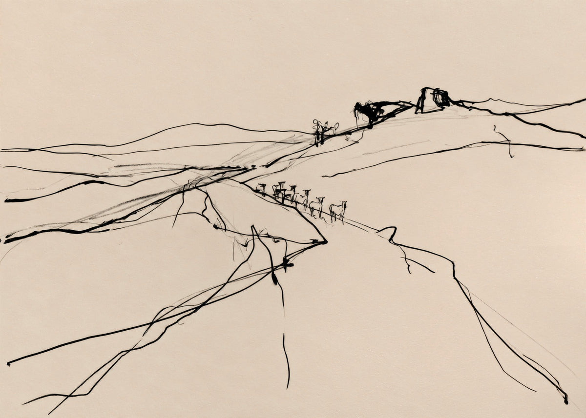 Horizon Line