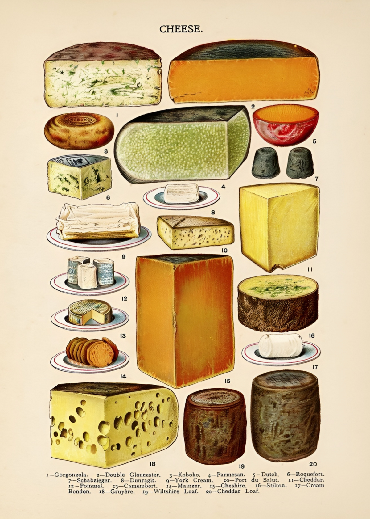 Vintage Peynir Çeşitleri İllüstrasyonu Poster Baskı