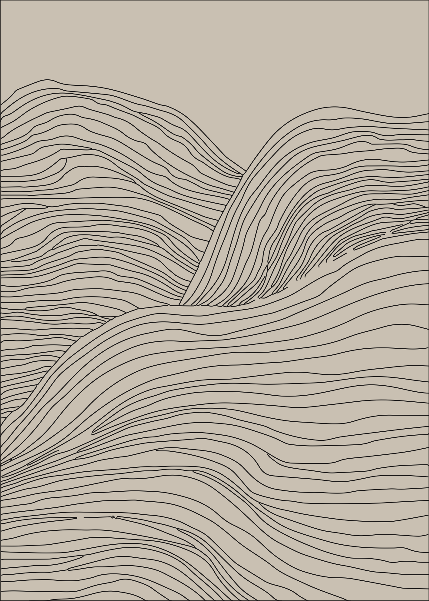 Topographic Flow Line Art Poster Baskı