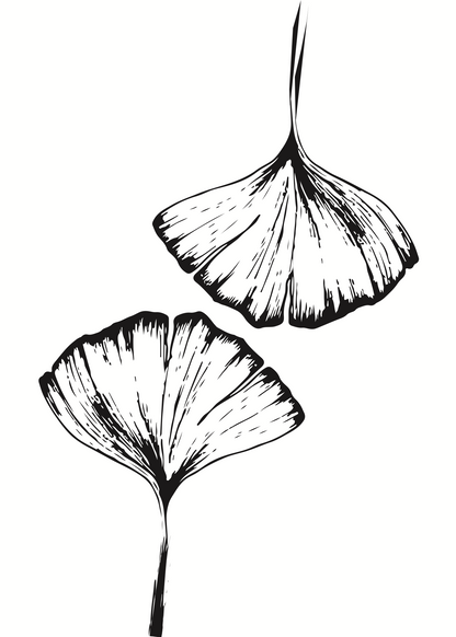 Ginkgo Yaprakları Çizim Poster Baskı