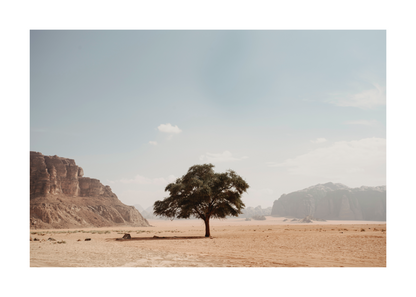Desert Solitude Landscape Poster Baskı