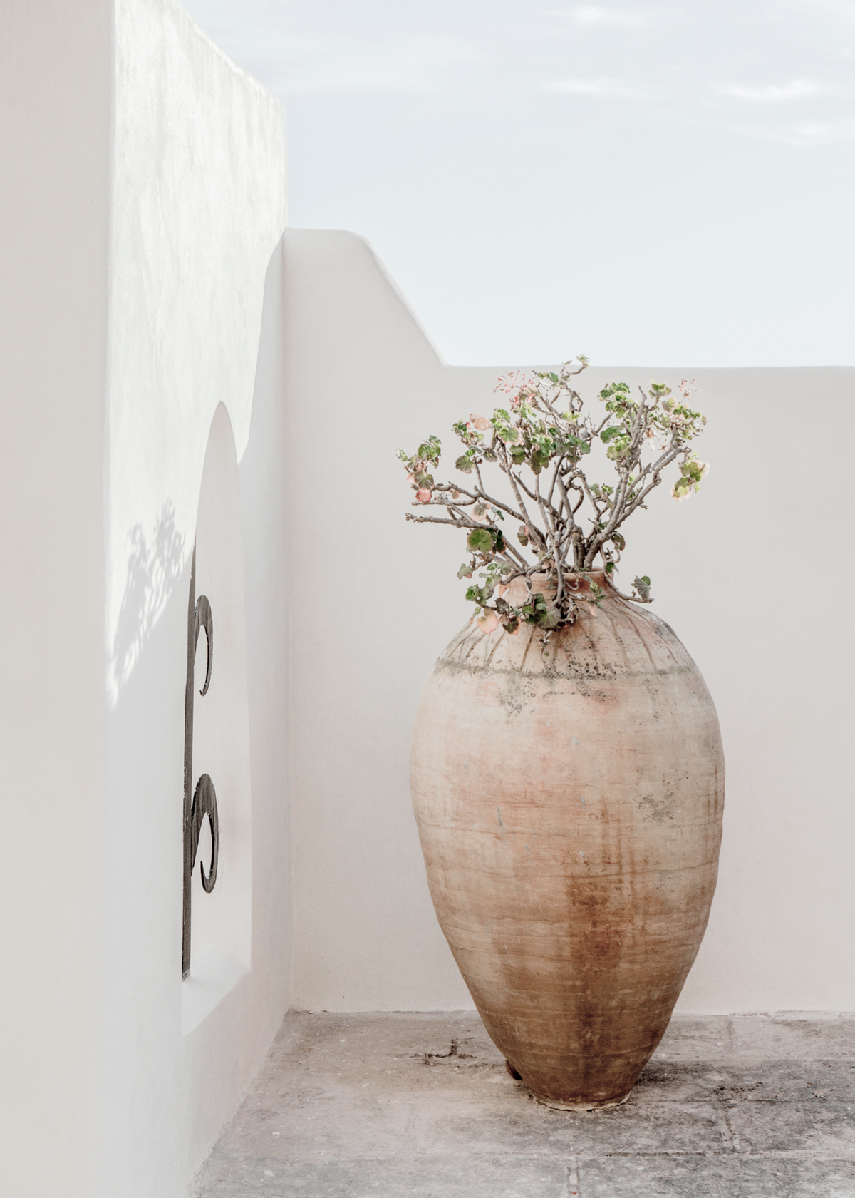 Mediterranean Clay Pot Poster Baskı