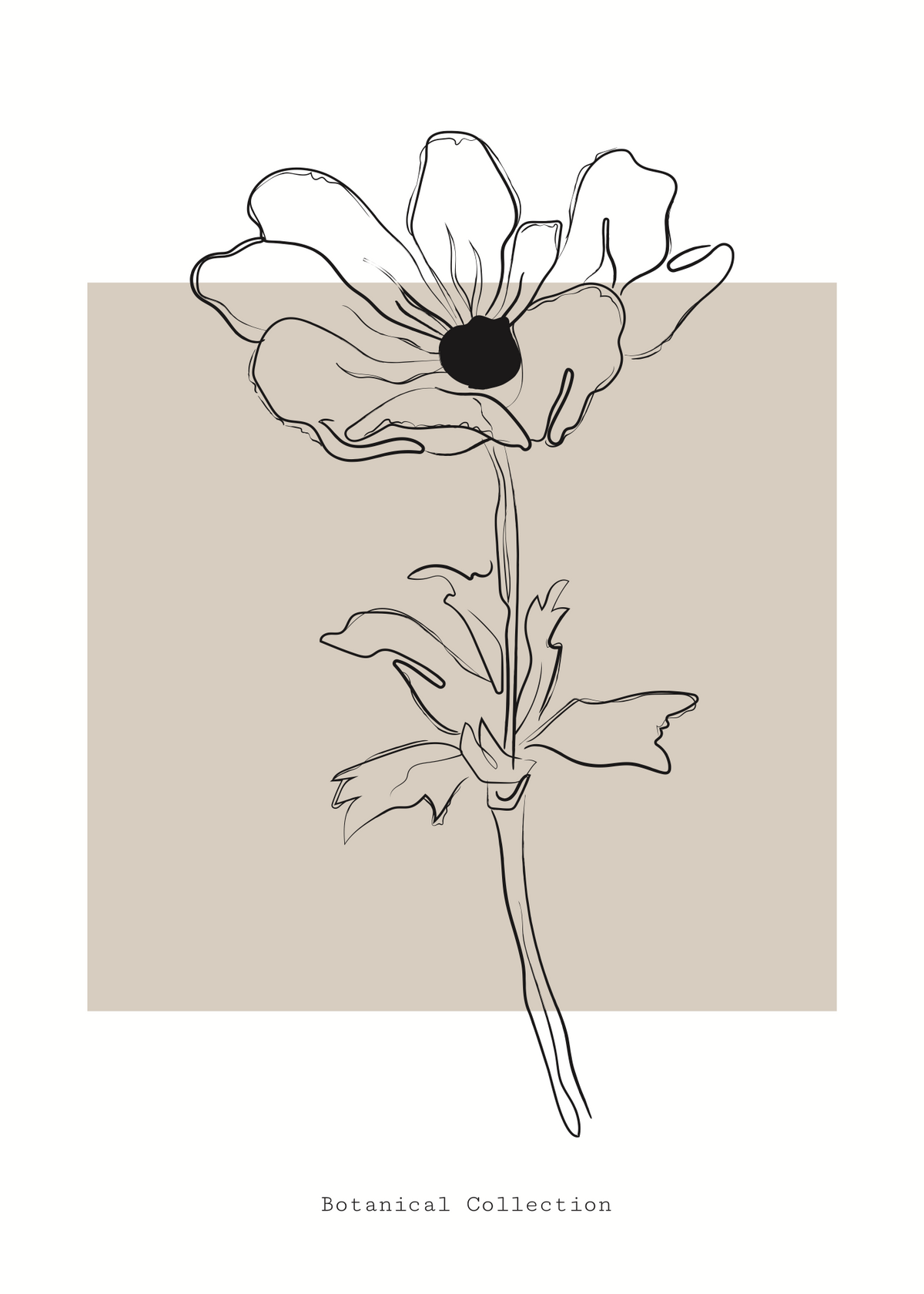 Botanical Collection – Minimal Çiçek Çizimi Poster Baskı