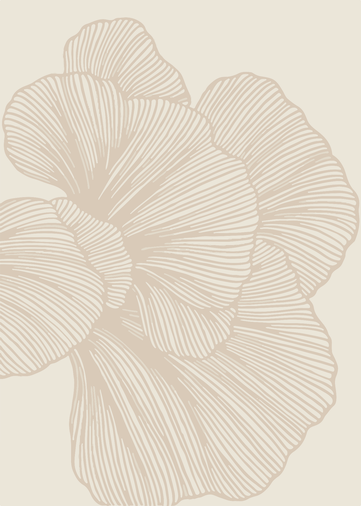 Soft Botanical Line Art Çiçek Poster Baskı