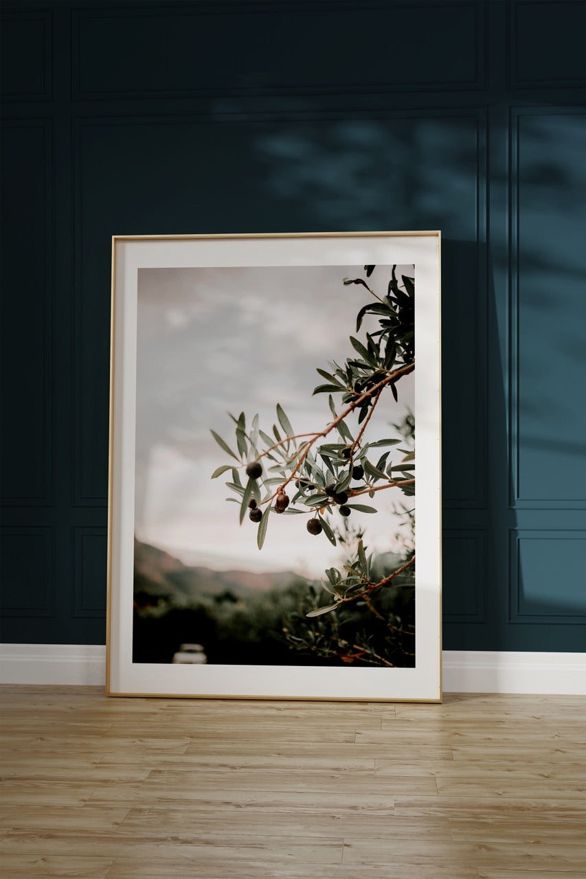 Olive Branch Photo Frameless Poster