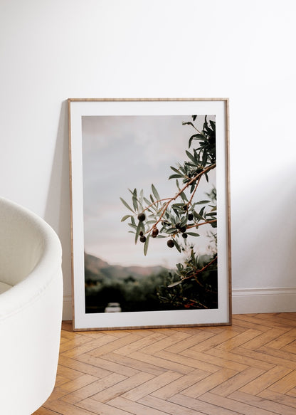 Zeytin Dalı Fotoğraf Çerçevesiz Poster