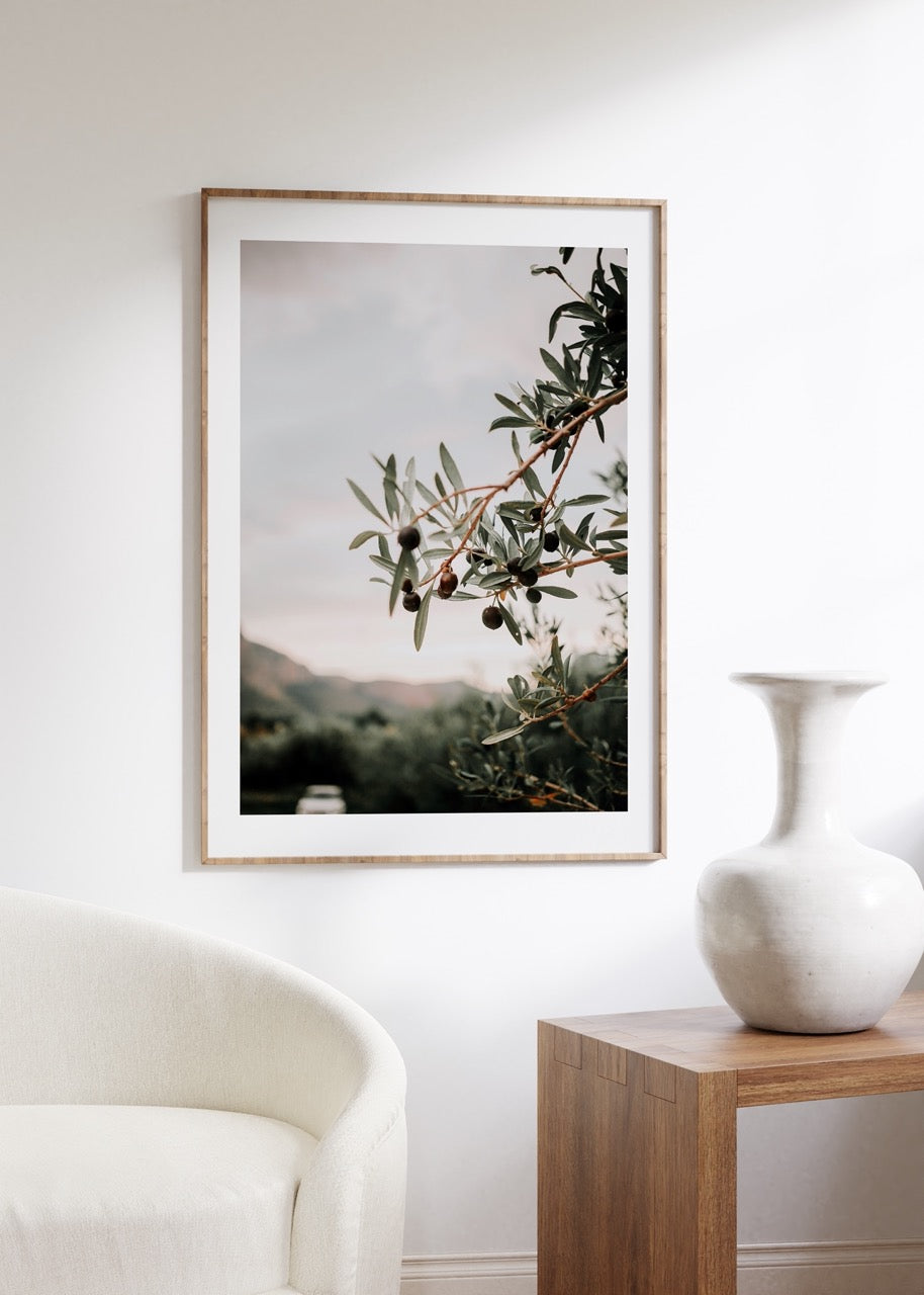 Olive Branch Photo Frameless Poster