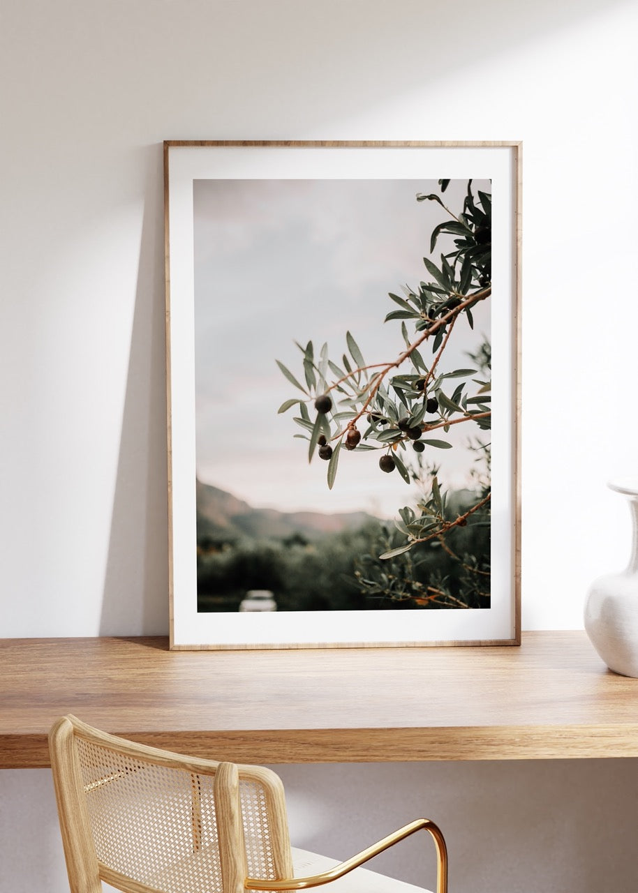 Zeytin Dalı Fotoğraf Çerçevesiz Poster