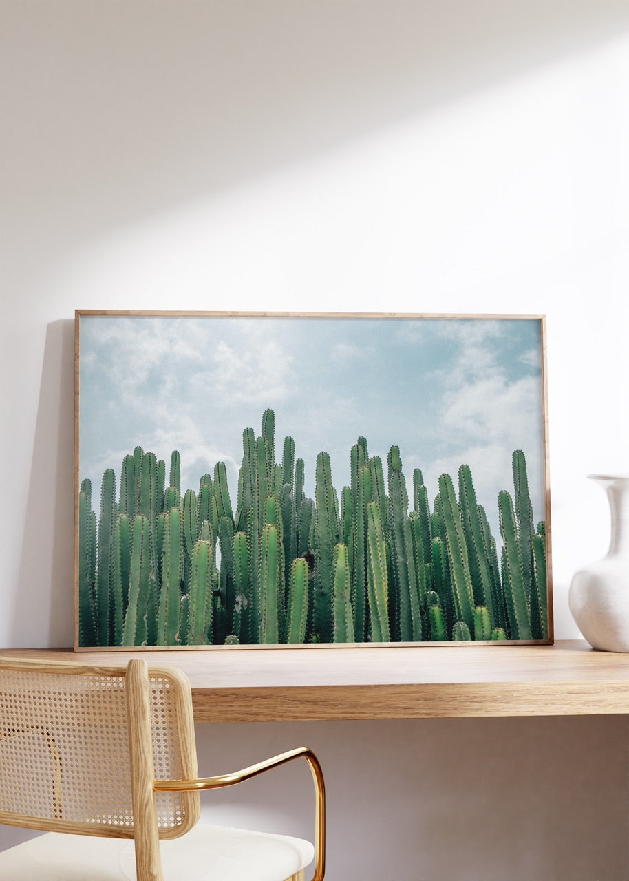 Cactus Photo No.39 Frameless Poster