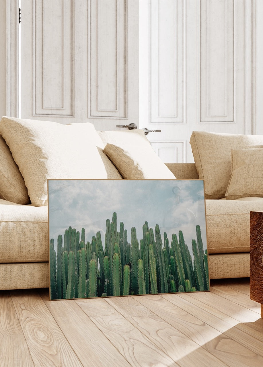 Cactus Photo No.39 Frameless Poster