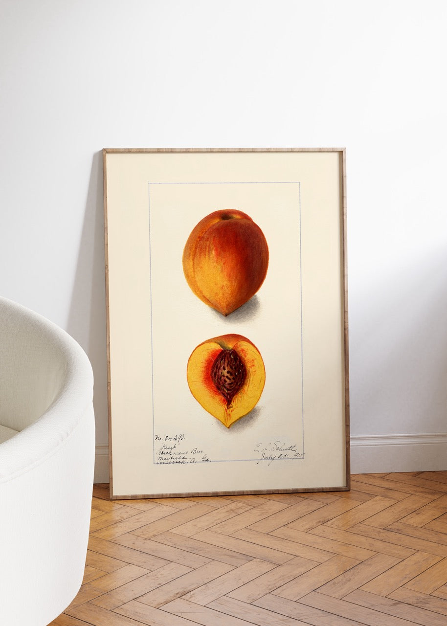 Cocktail Espresso Martini Unframed Poster