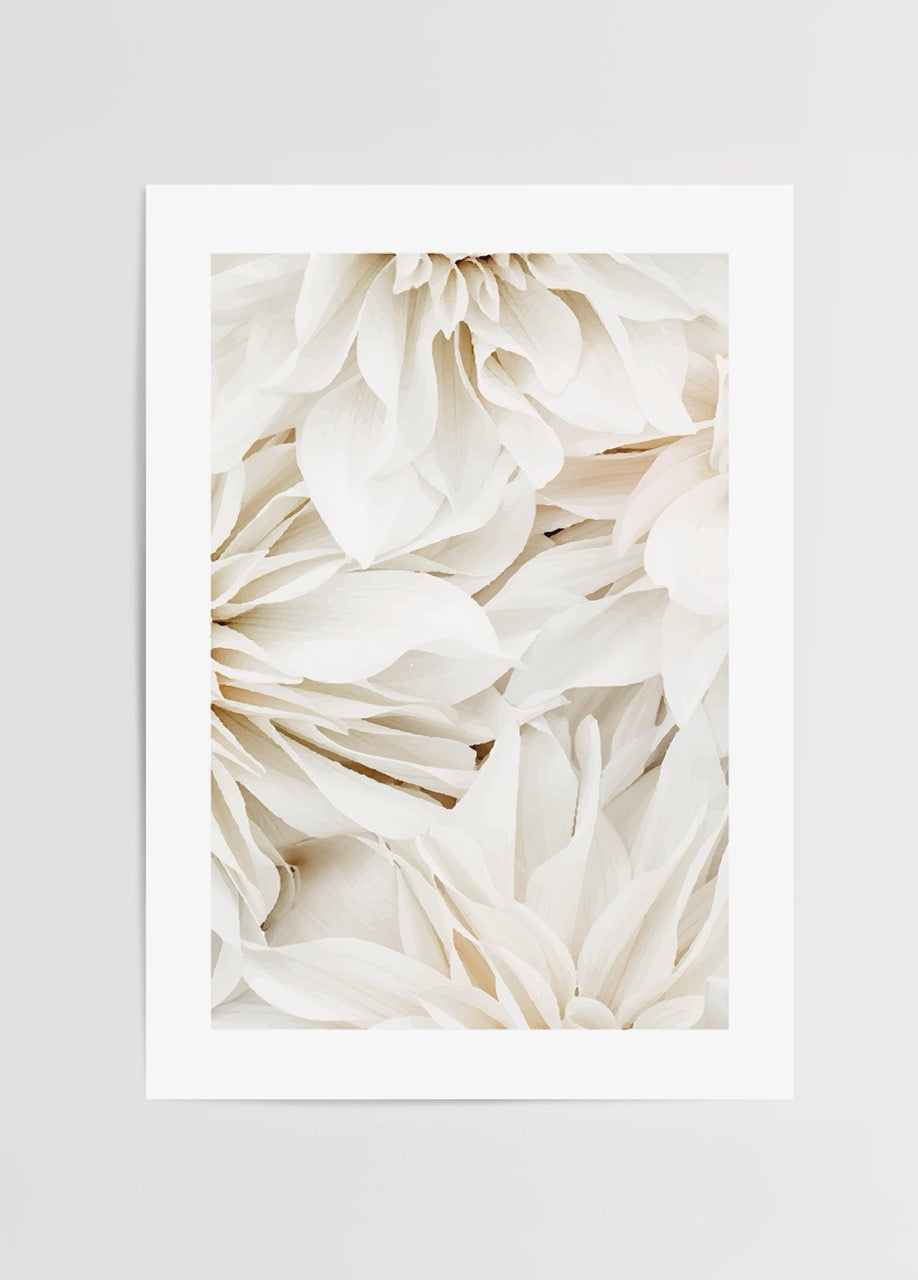 Beyaz çiçek yapraklarının detaylı görünümünü yansıtan minimalist poster baskı