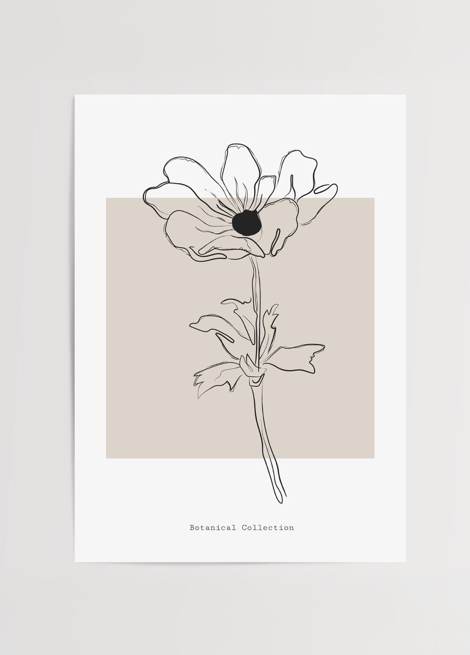 Bej zemin üzerine siyah çizgilerle tasarlanmış soyut çiçek illüstrasyonu ve altında &quot;Botanical Collection&quot; yazılı minimal duvar posteri.