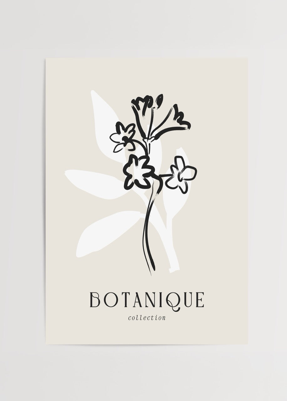 Siyah çizim çiçek figürü ve beyaz yaprak formuyla tasarlanmış Botanique Koleksiyonu posteri
