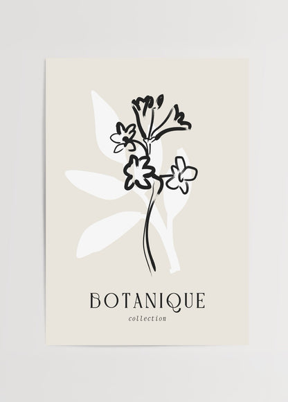 Siyah çizim çiçek figürü ve beyaz yaprak formuyla tasarlanmış Botanique Koleksiyonu posteri