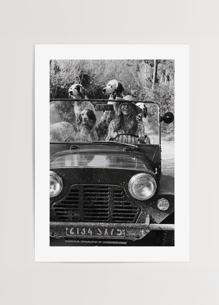 Üstü açık araçta köpeklerle birlikte Brigitte Bardot’un yer aldığı siyah beyaz vintage fotoğraf