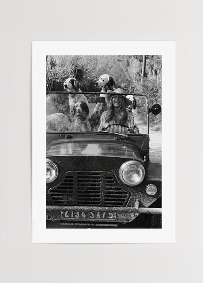 Üstü açık araçta köpeklerle birlikte Brigitte Bardot’un yer aldığı siyah beyaz vintage fotoğraf