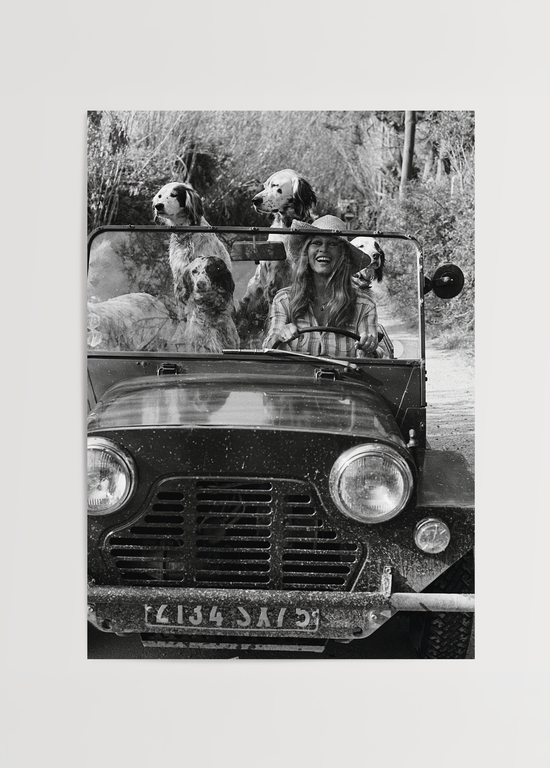 Brigitte Bardot Köpeklerle Fotoğraf Poster Baskı