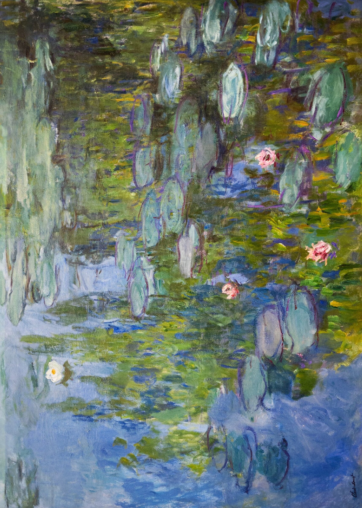 Claude Monet'nin Su Lili tablosu poster baskı