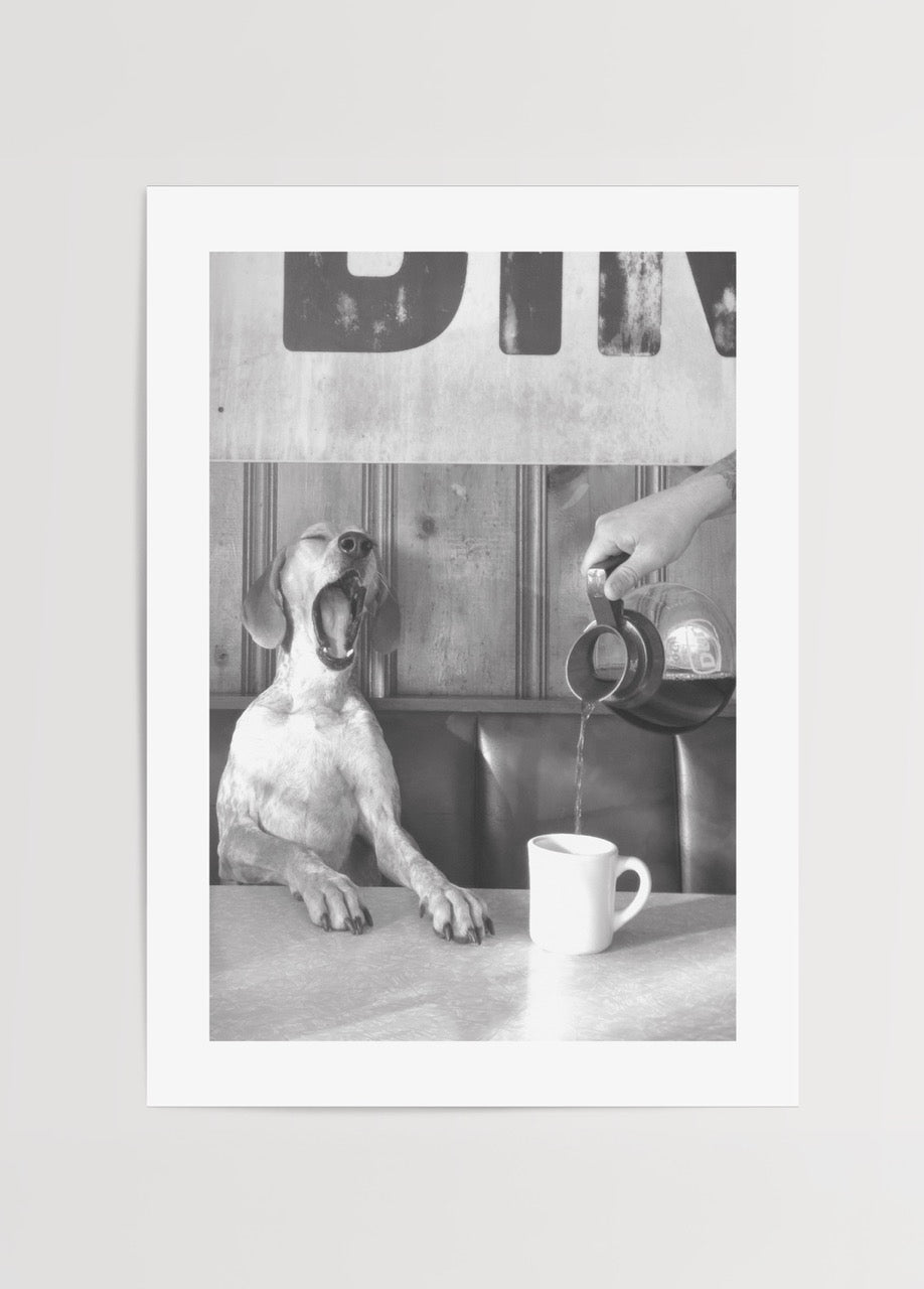 Masada oturup kahve bekleyen köpeği gösteren komik siyah beyaz fotoğraf