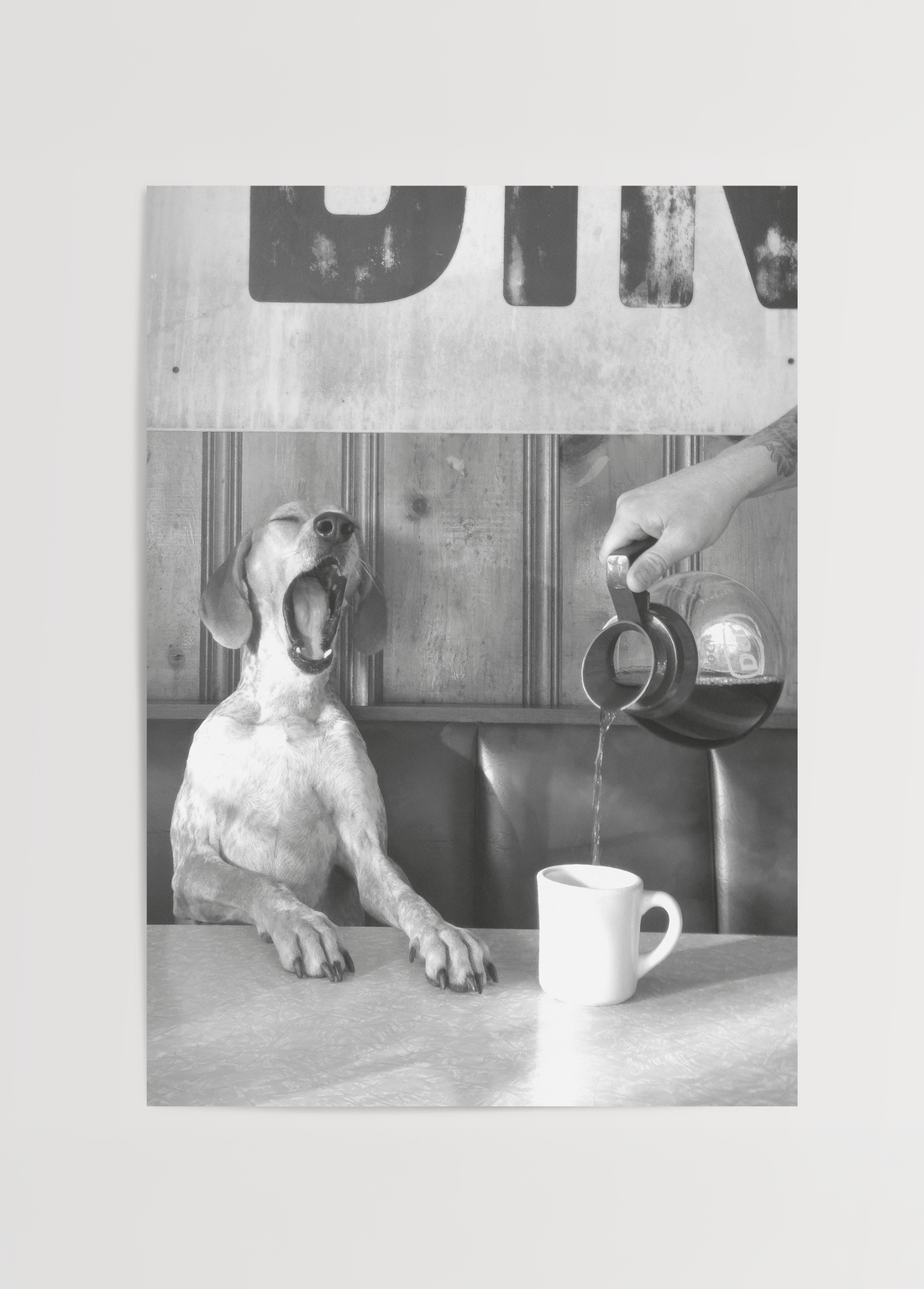 Coffee for Dogs Fotoğraf Poster Baskı