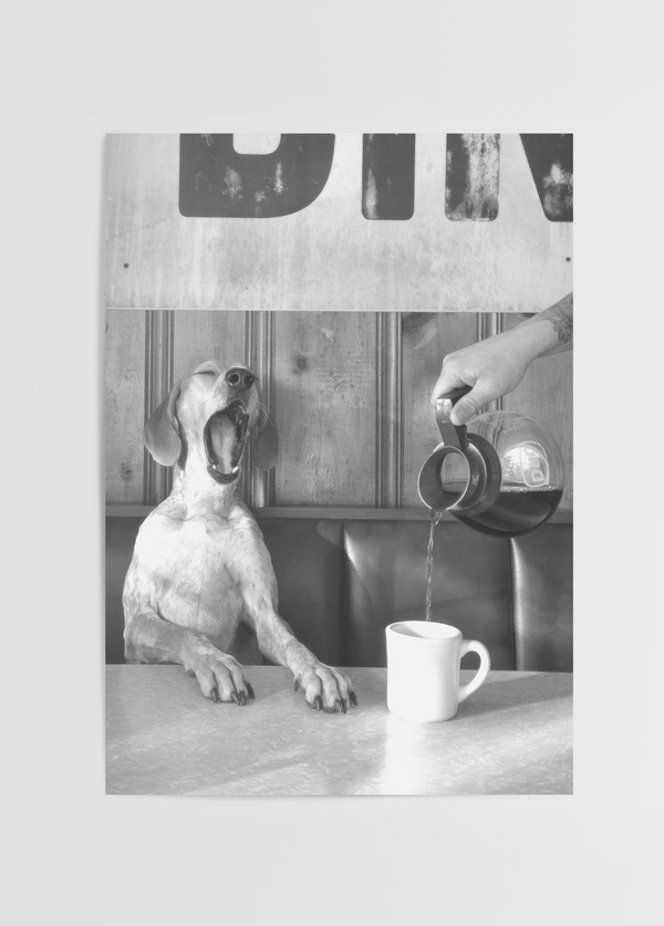 Coffee for Dogs Fotoğraf Poster Baskı