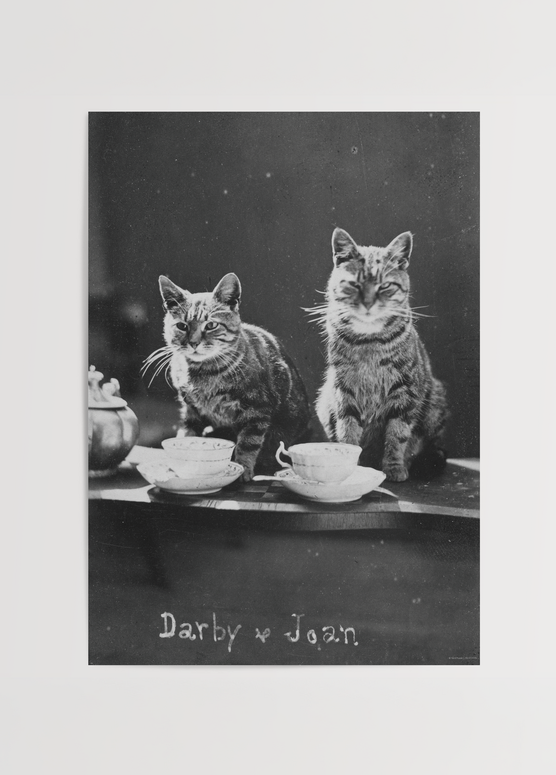 İki Sevimli Kedi ve Çay Zamanı