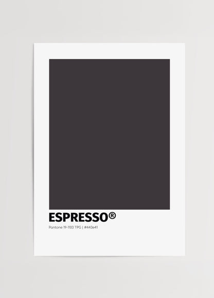 Pantone stilinde koyu espresso tonlarında sade renk bloklu duvar posteri