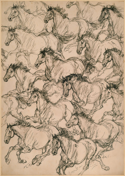 Wild Horses
