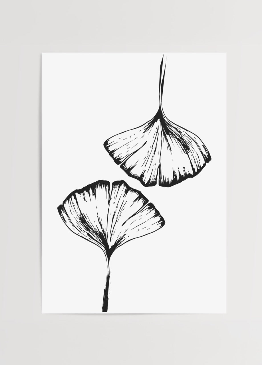 Siyah beyaz ginkgo yaprakları illüstrasyonu, minimal çizim poster