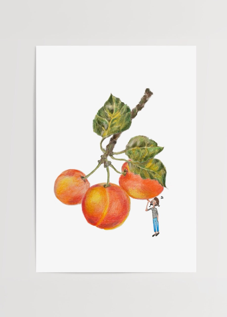 İlke Arseven’in “Fruity” adlı, dalında asılı renkli meyveler ve figürlü suluboya illüstrasyon posteri.