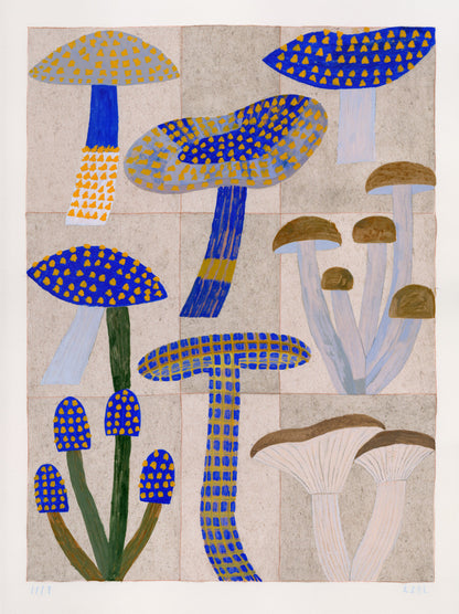 Mushroom Garden
