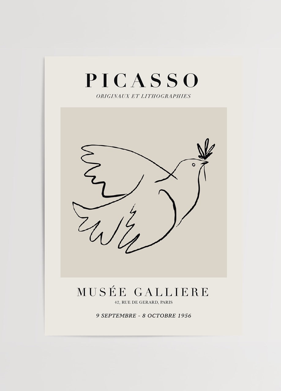 Picasso Barış Güvercini Poster Baskı 40x50 cm