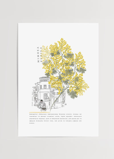 Mimosa Poster Baskı