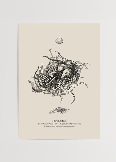 Nidus Avium Poster Baskı