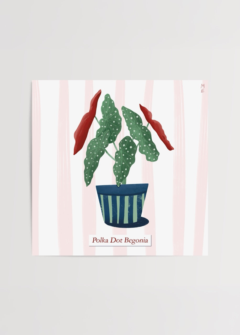 Polka Dot Begonia poster baskı – Melisa Ermiş illüstrasyonu, yeşil beyaz benekli yapraklı tropikal bitki çizimi