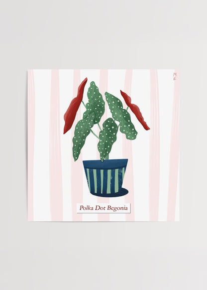 Polka Dot Begonia poster baskı – Melisa Ermiş illüstrasyonu, yeşil beyaz benekli yapraklı tropikal bitki çizimi