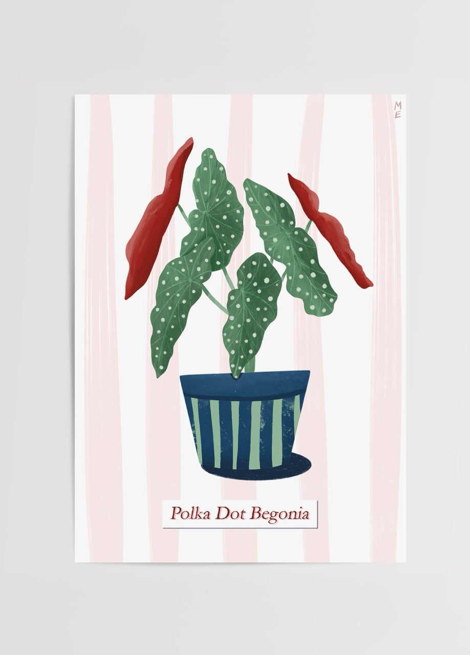 Polka Dot Begonia poster baskı – Melisa Ermiş illüstrasyonu, yeşil beyaz benekli yapraklı tropikal bitki çizimi