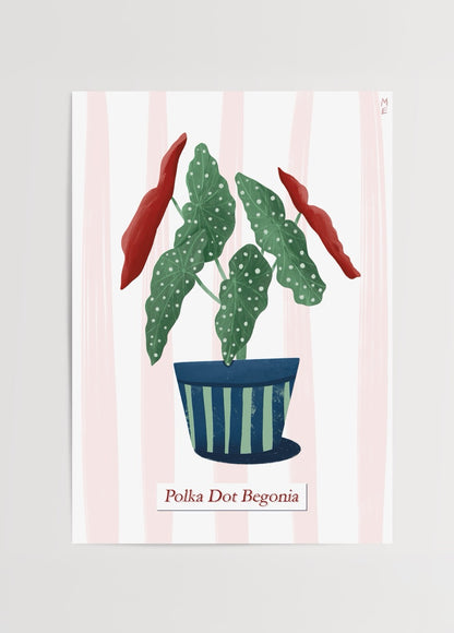 Polka Dot Begonia poster baskı – Melisa Ermiş illüstrasyonu, yeşil beyaz benekli yapraklı tropikal bitki çizimi